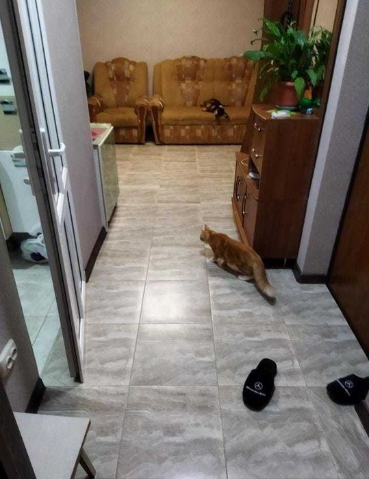 Сдается дом в аренду в районе герцена