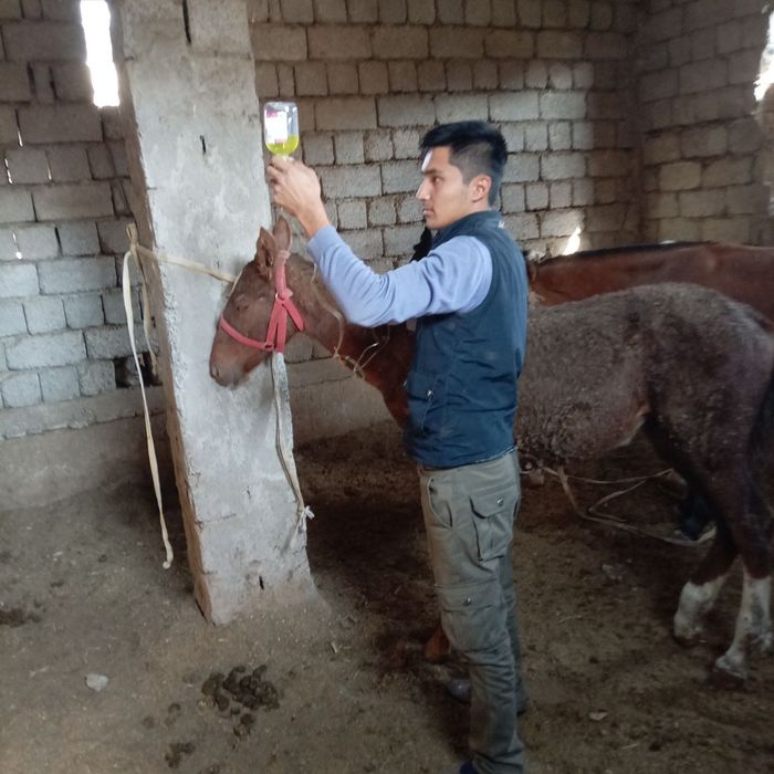 Veterinariya xizmati 24/7