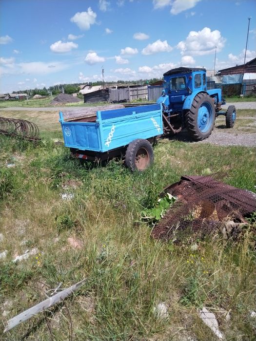 йпролорииииототттммр