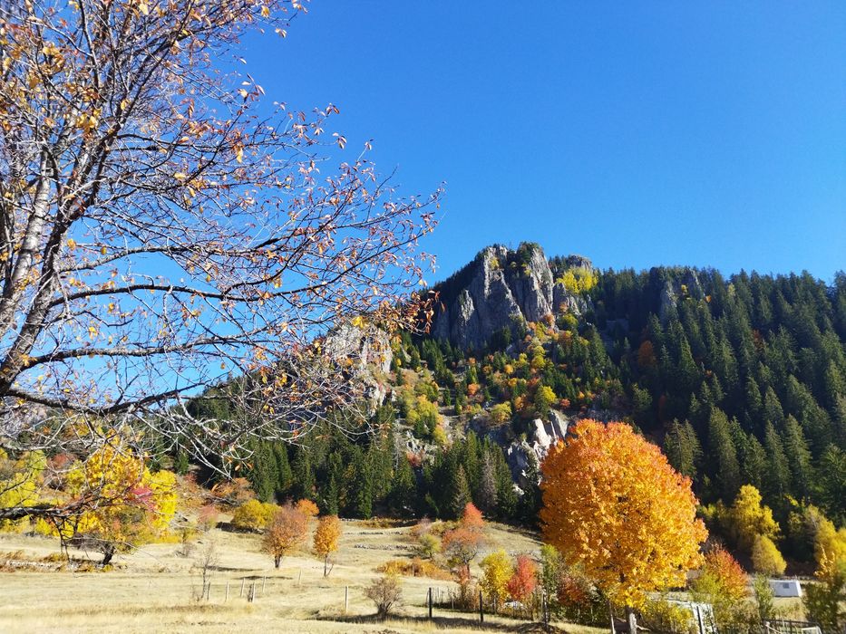 Продава се Парцел в Смолян, Езерово - 3136 кв.м за 35 €/кв.м - Снимка #8