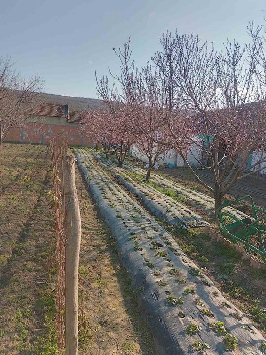 Селски имоти -РАНЧО/Ферма