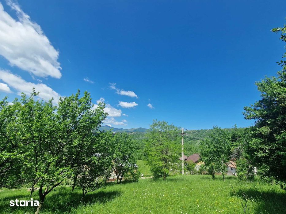 teren Comarnic, 3200 m2, zona Poiana