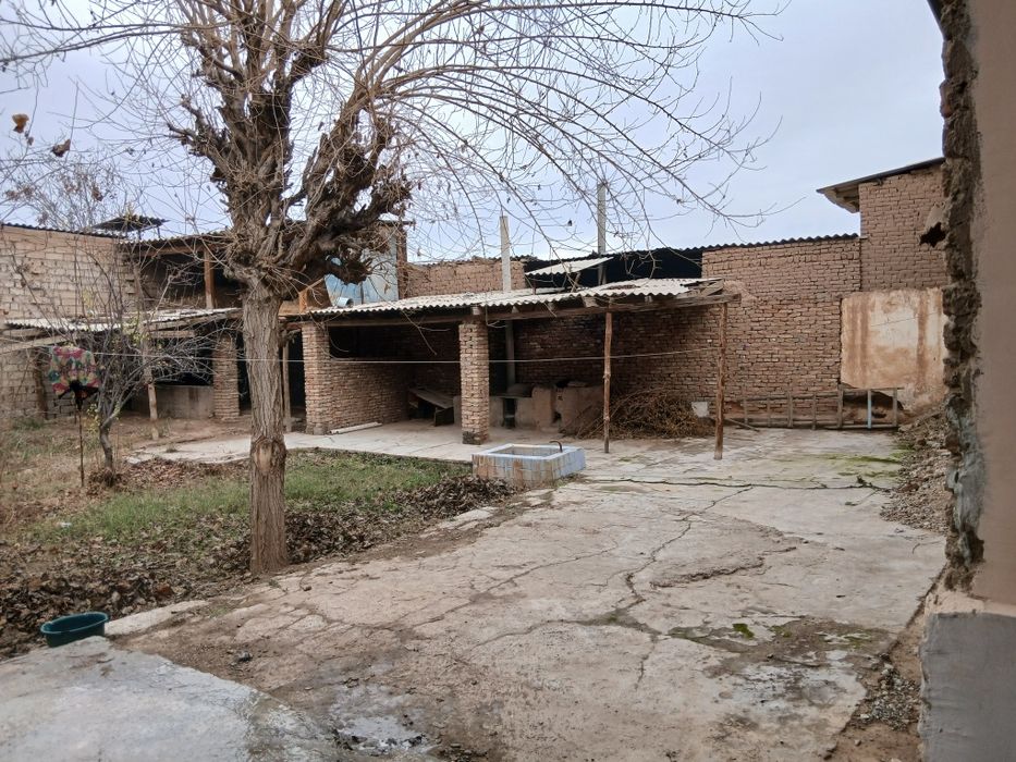 Sherobod shaxrida park yonida  9 sotx uy sotiladi