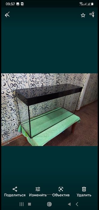 Аквариумы на заказ