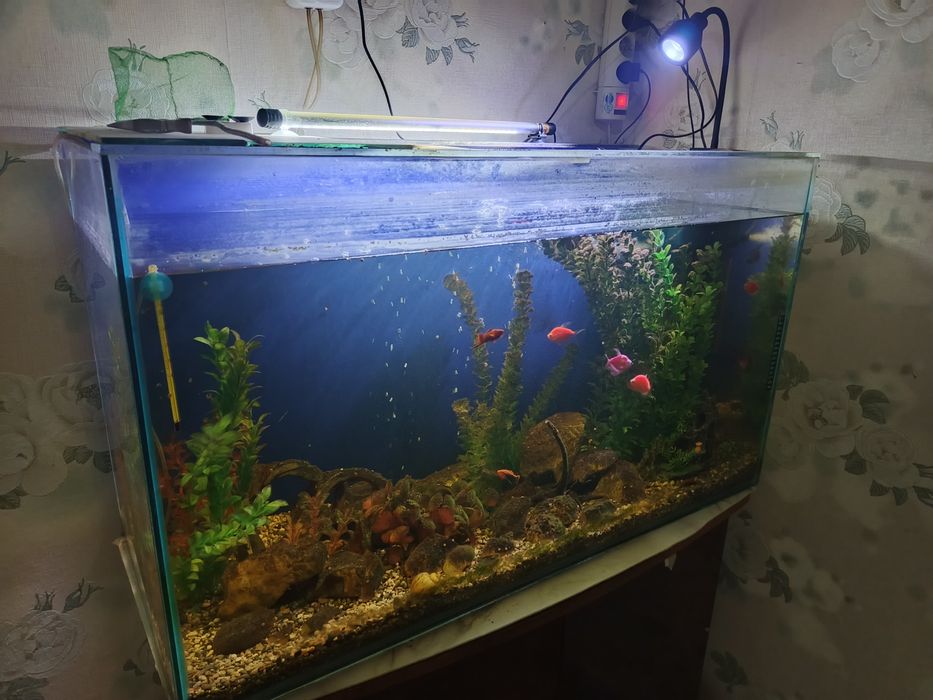 Продаю Аквариумы