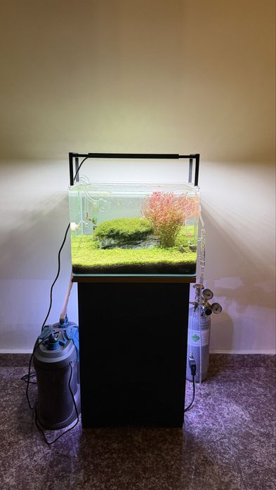 Aquascape profesional / Acvariu