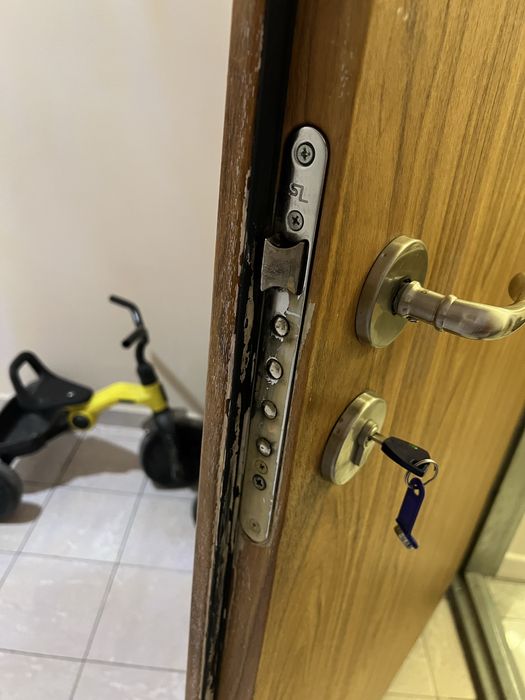 Металическая дверь