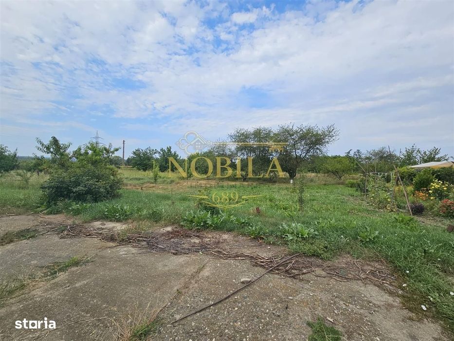 Teren De Vanzare Intravilan In Zona Industriala 10000 Mp Onesti