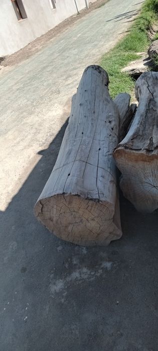 Gusht maydalagichga xuna dastgoxi