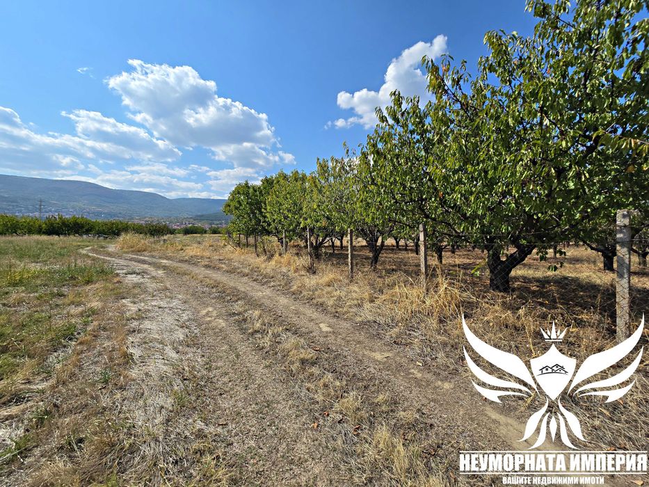 Продавам земя 9600кв.м. на влизане в Асеновград зад Газпром