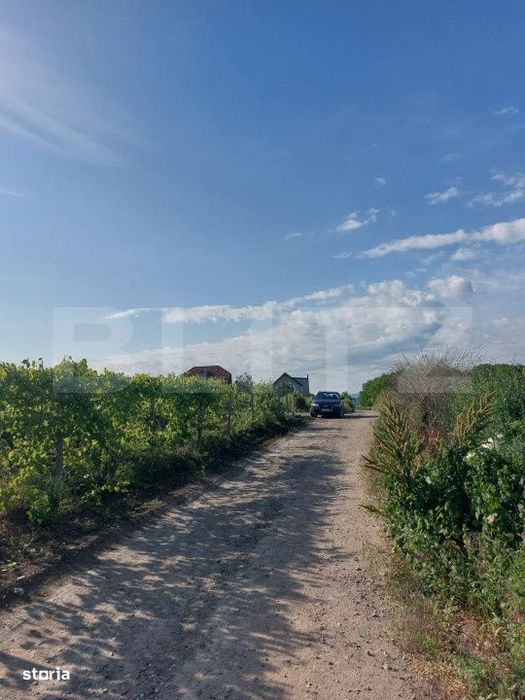 Teren intravilan 700 mp, Copou-Viticultori