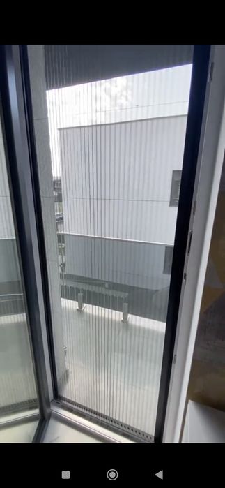 Plase insecte plisse Constanța