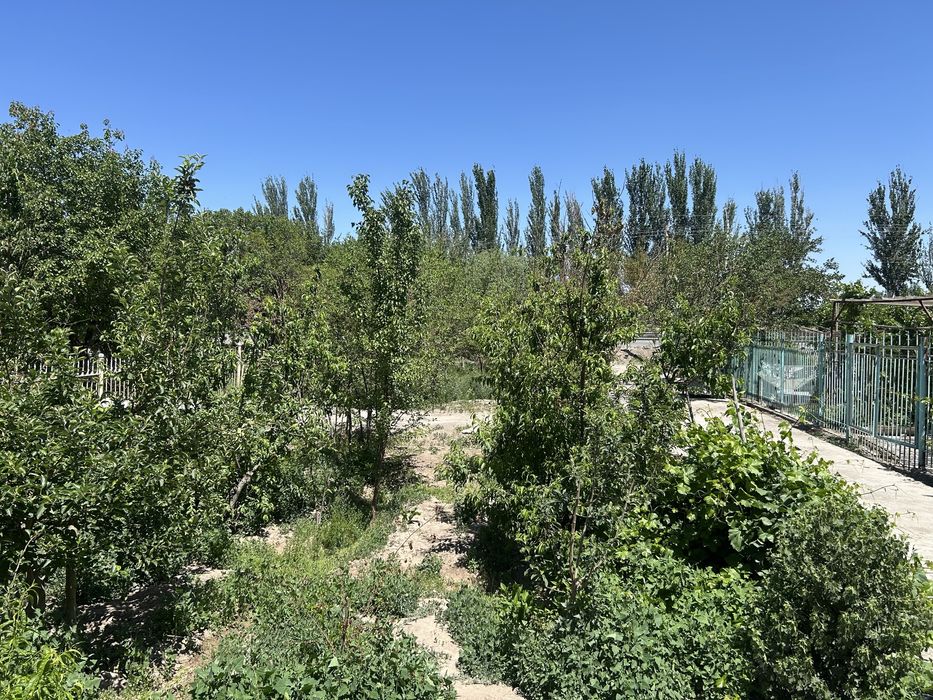 Урганч шахар Прогресс Обходной йулни буйинда жойлашган 420кв ховли жой