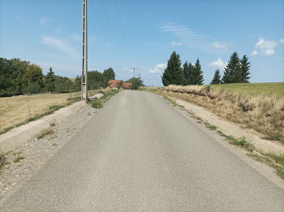 Vând 7500 mp teren in Șinteu
