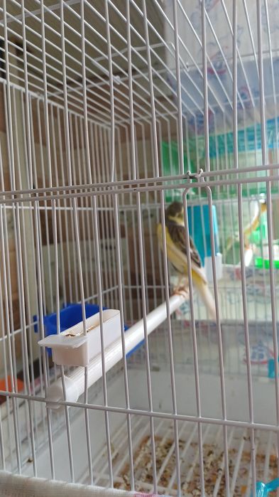 Срочно продаётся