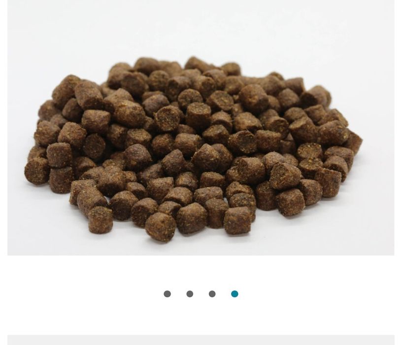 Плаваща храна за езерни риби