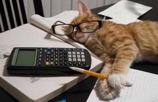 Все виды бухгалтерских услуг. Налоговая отчетность любой сложности.