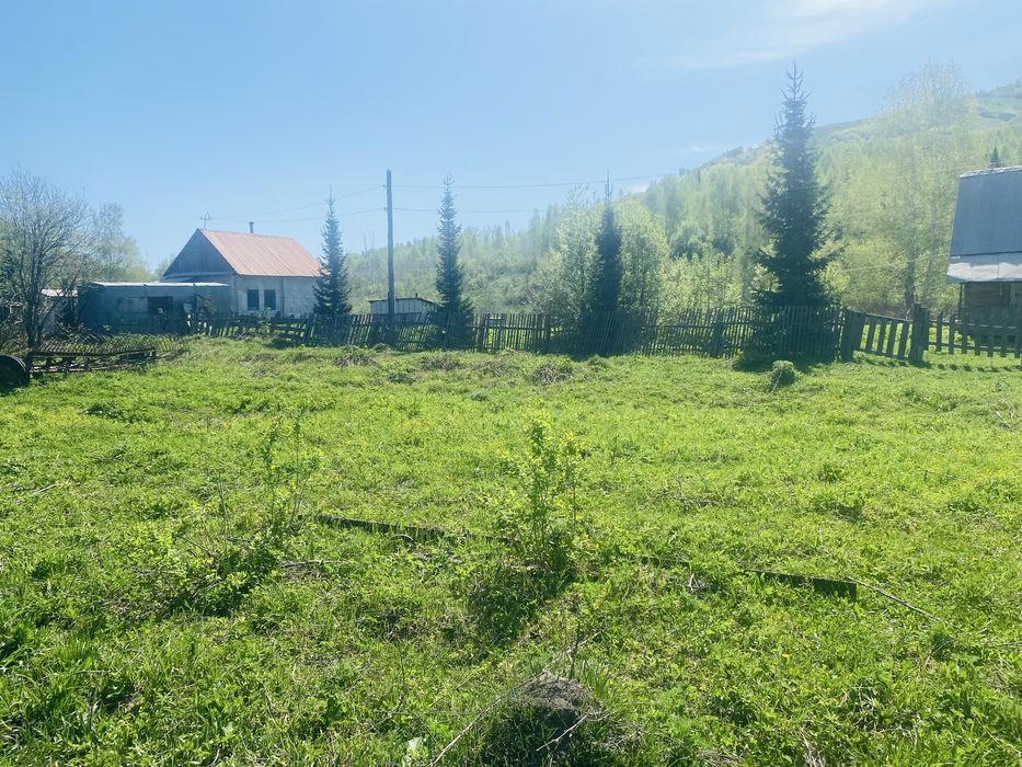 Продам крестьянское хозяйство!
