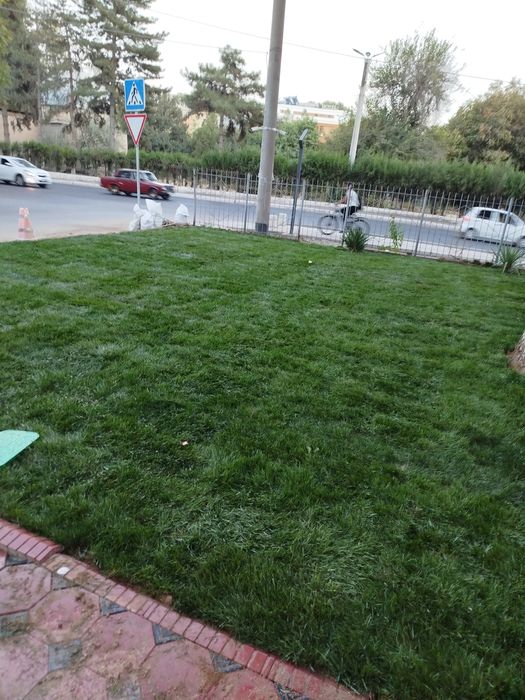 Gazon ekamiz Urug' Sepamiz Poliv Xizmatiyam Bor 0 dan Bajaramiz