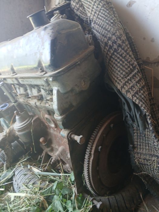 Моторло сотилоди