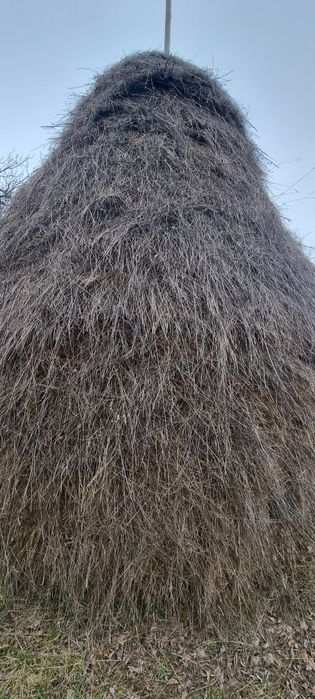 Fan de vanzare vrac și țuica