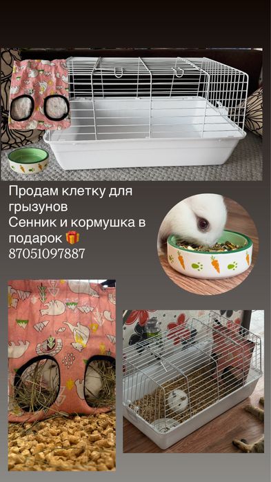 Клетка для маленьких и больших грызунов