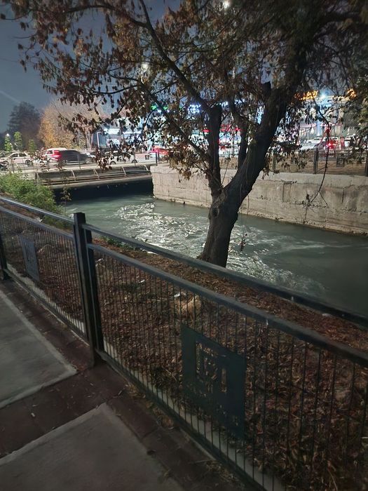 Qorasaroy 3 hona 82 kvadrat