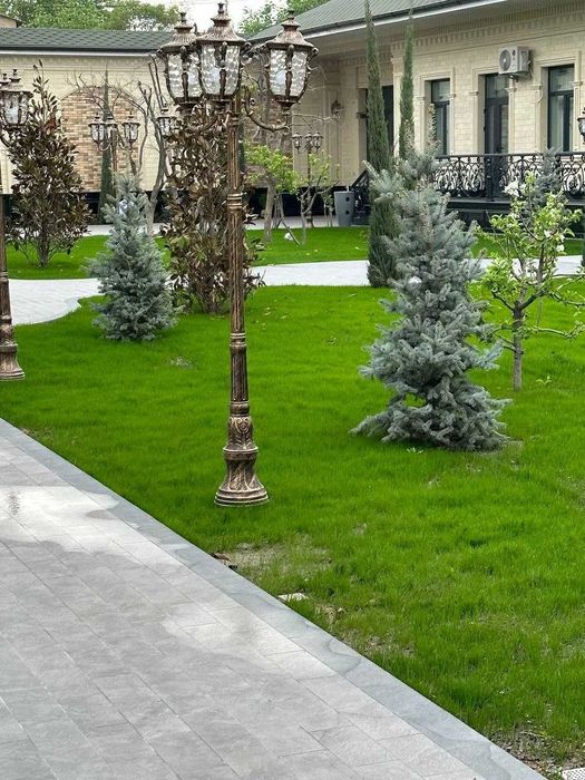 Рулон газон по Всему Самарканду
