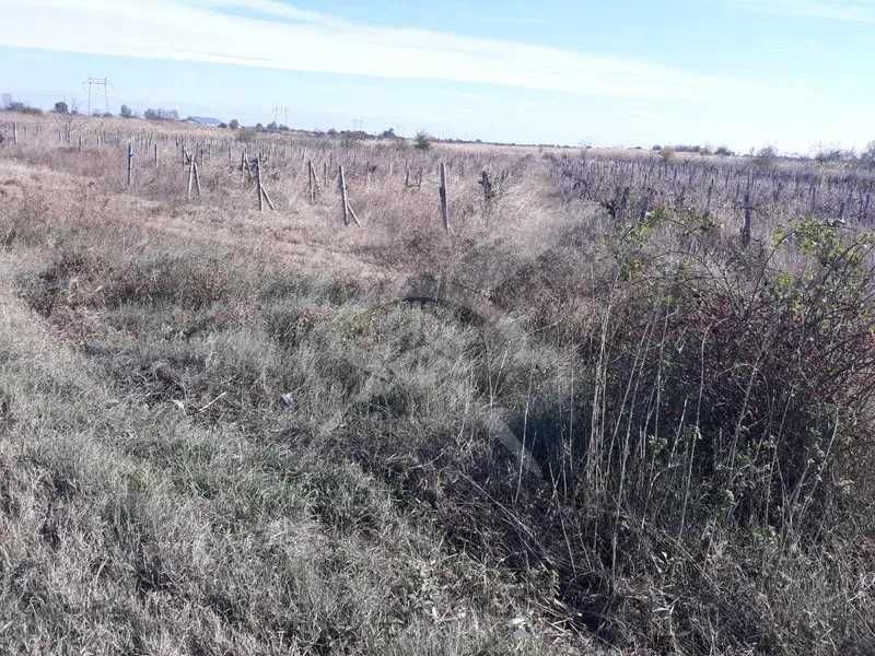 Парцел в с.Марково 21852