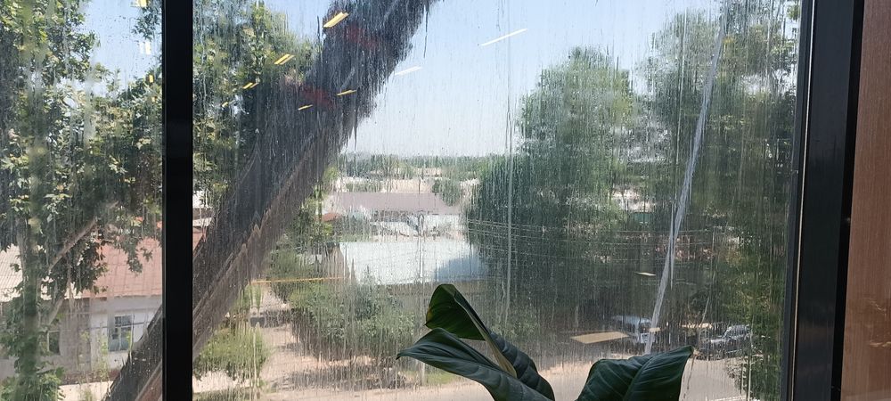 Уборка. Химчистка мебели. Чистка брусчатки. Мойка фасадов