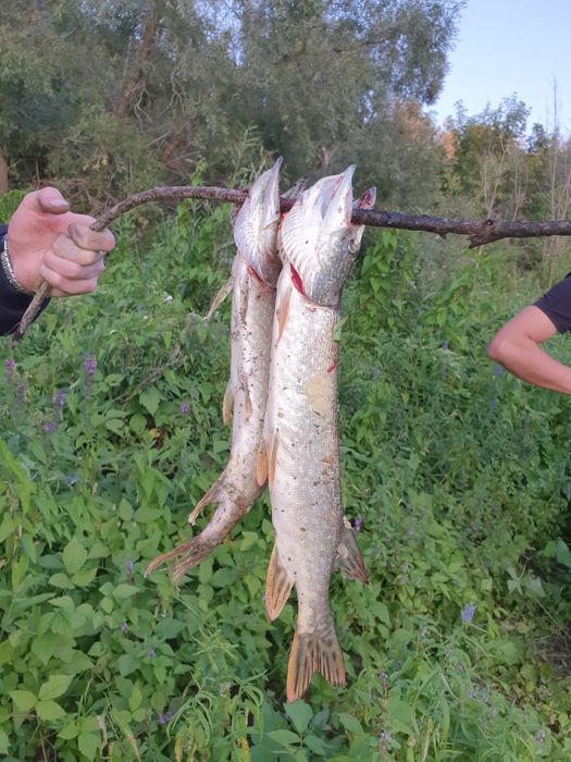 Дача на берегу Ишима