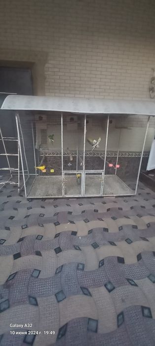 вальер с птитцами 2 пари карелла