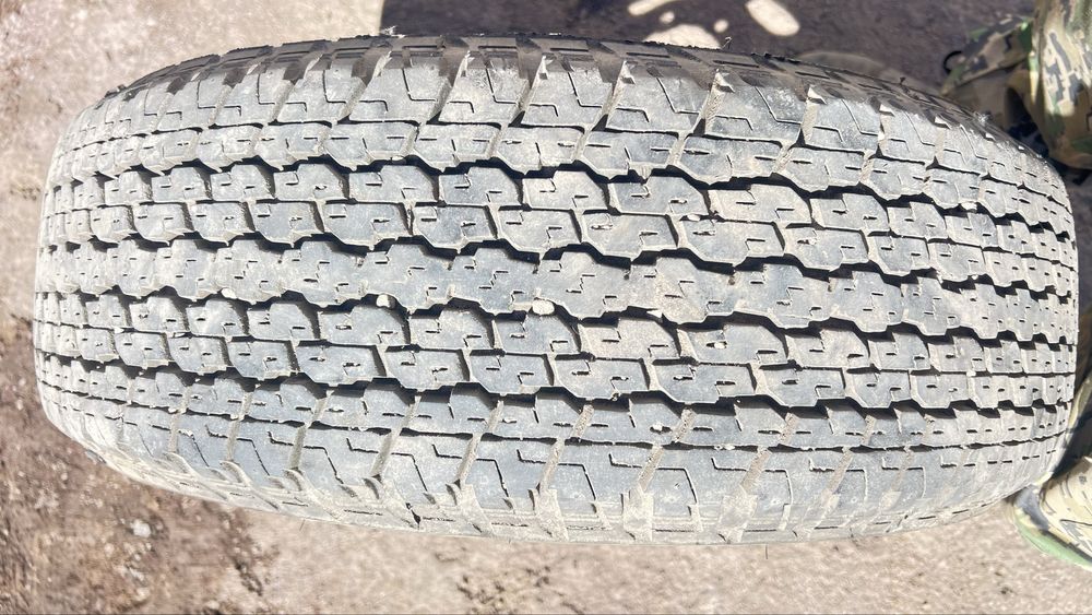 Шина на диске продам
