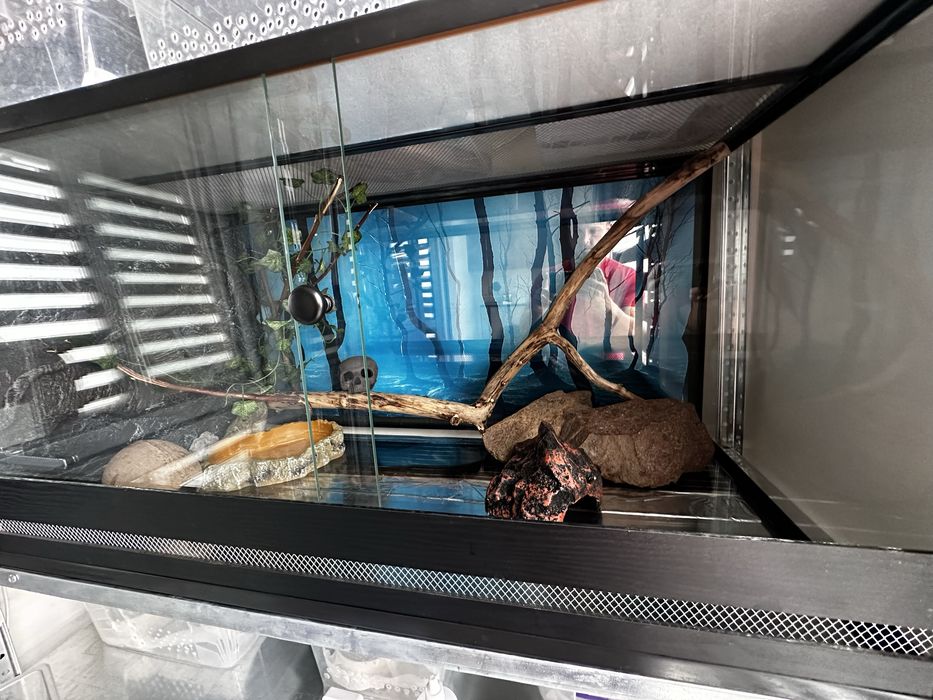 Террариум для рептилий