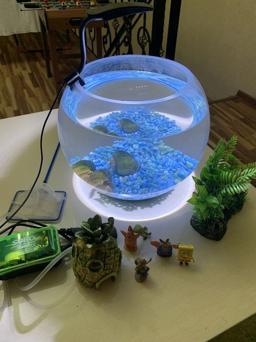 Аквариум круглый большой 8-10 л