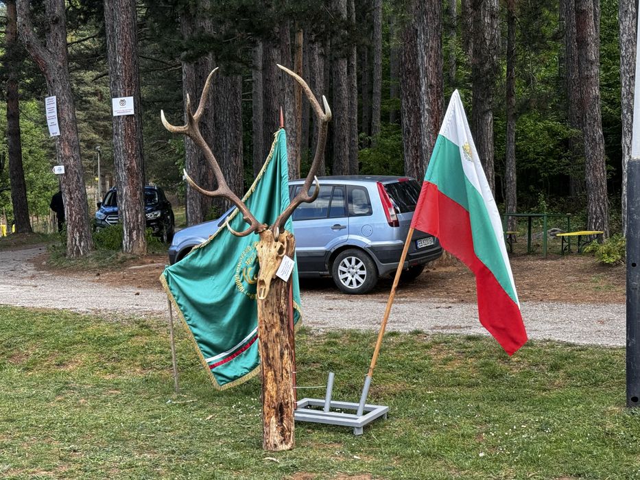 Дървен череп на благороден елен,дърворезба,трофей,лов,Blaser,Chevalier