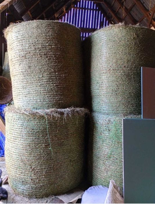 Baloti de otava de calitate