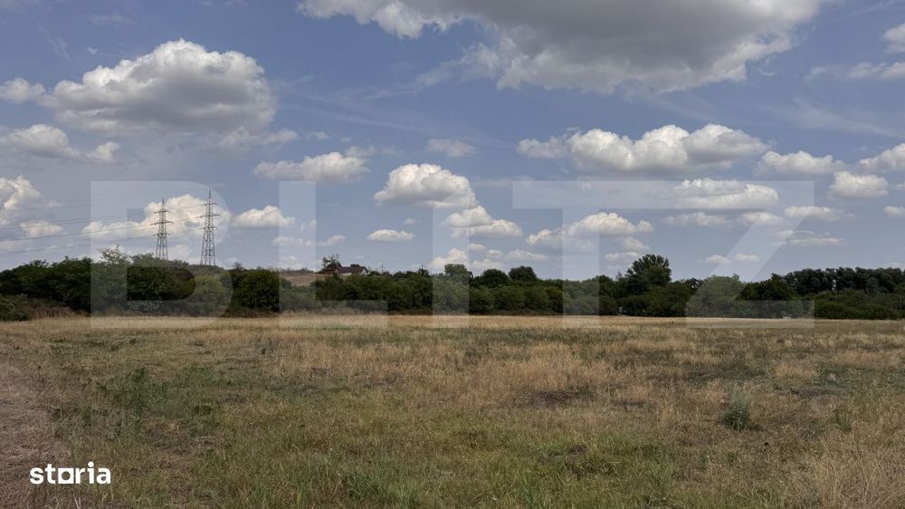 Teren EV si IV cu casa, 29.600 mp, utilitati si acces facil, Albesti
