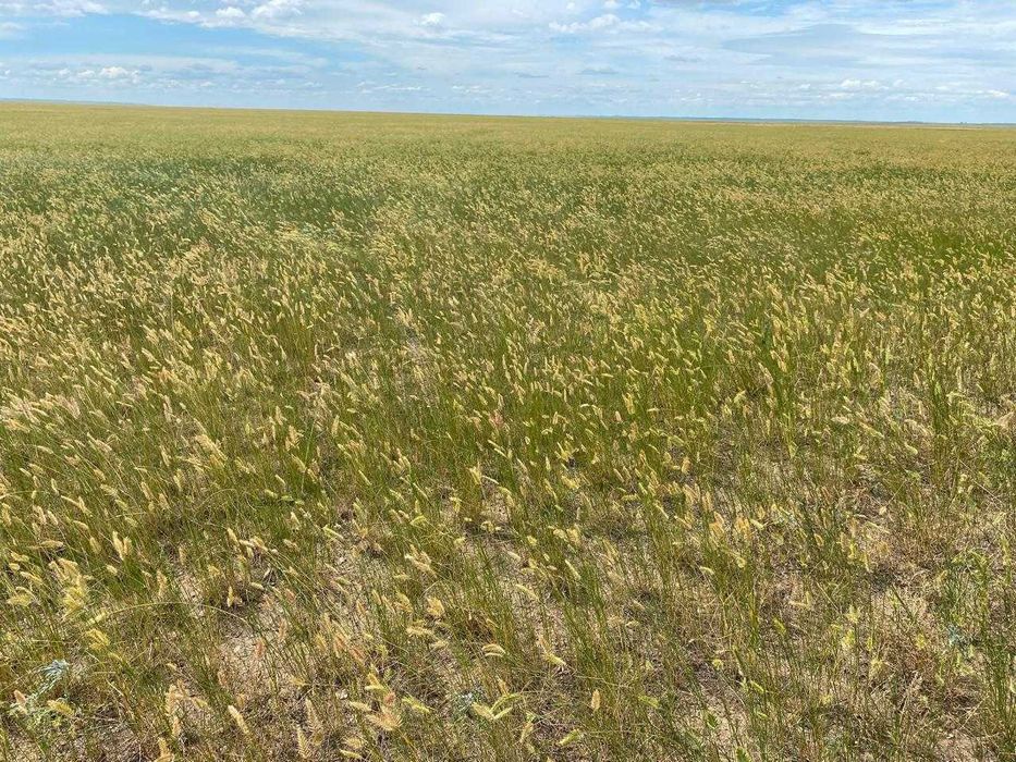 Продам пашню -  1360 га