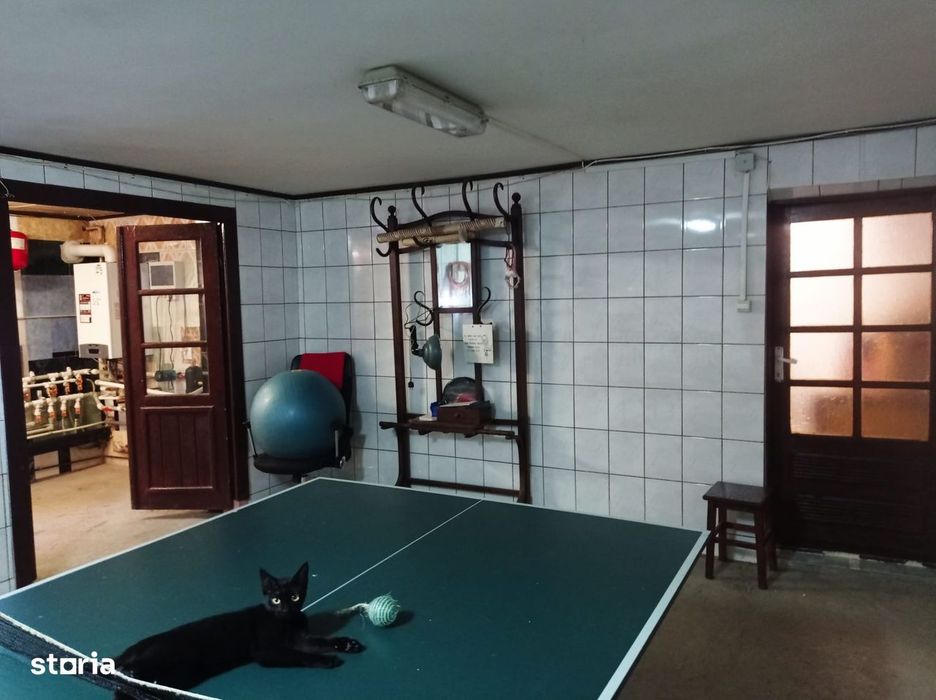 Vila de vanzare Parcul Bazilescu - DIRECT PROPRIETAR