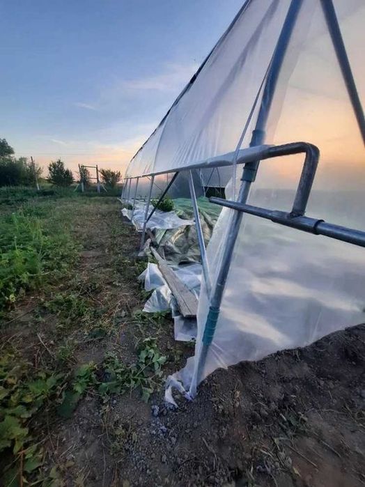 Solarii Legume - Solarii de Gradina - Transport Gratuit