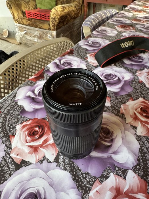Obiectiv Canon EF-S 55-250 STM