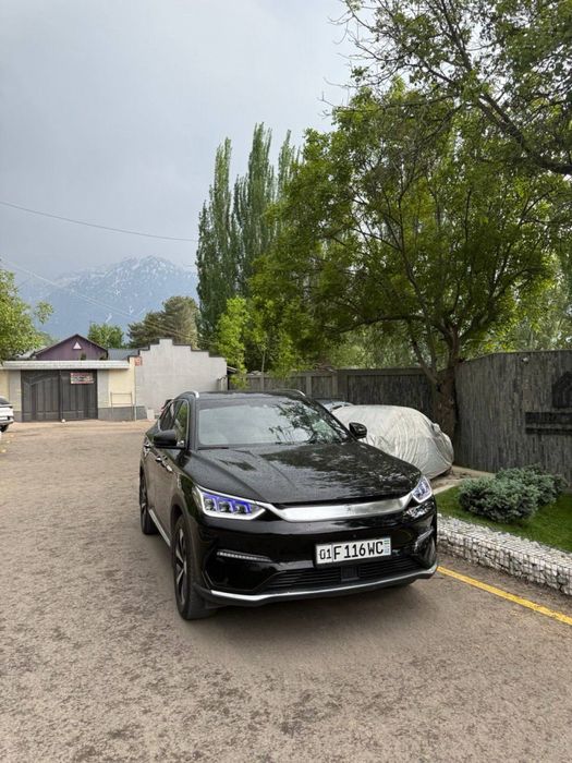 Byd song plus toza