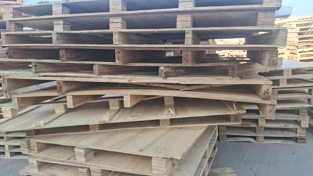 Harhil Turdagi Go'zal Holatda Faneralar Optim. NARHLARDA sotiladi