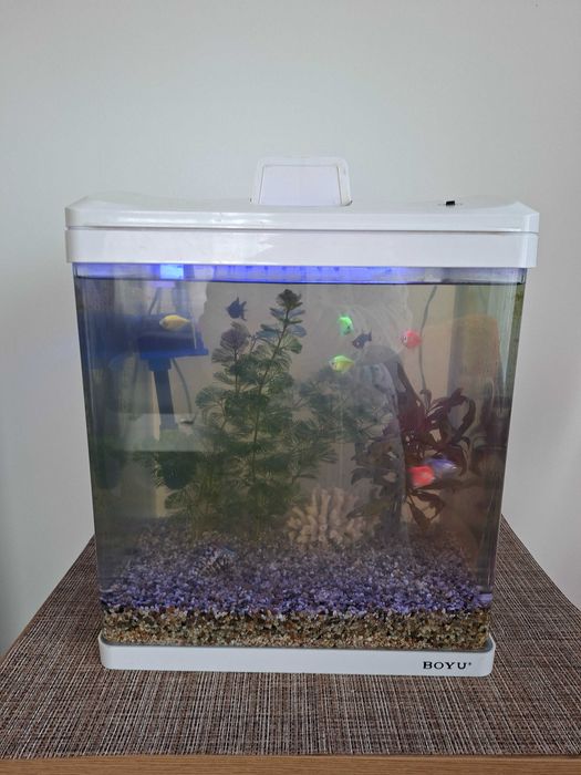 Acvariu din plexiglass cu pesti