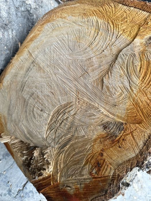 Dekaratsiya va narsalar yasash uchun mosbolgan