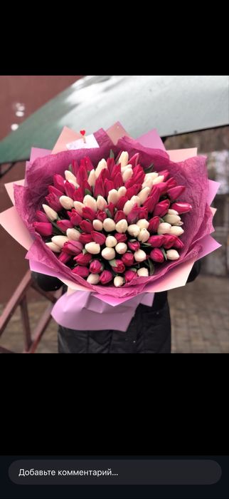 Тюльпаны Голландские