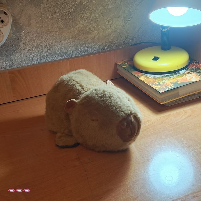 Плюшевая игрушка