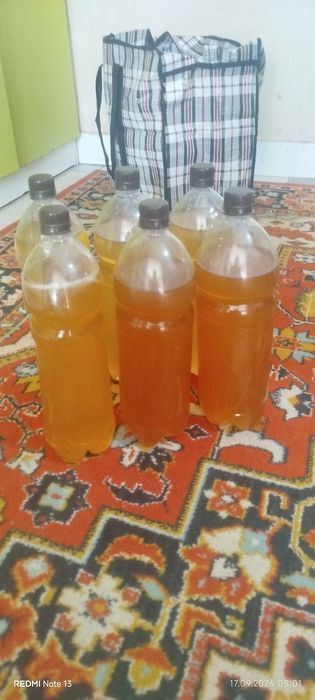 Продам мёд кызылординский