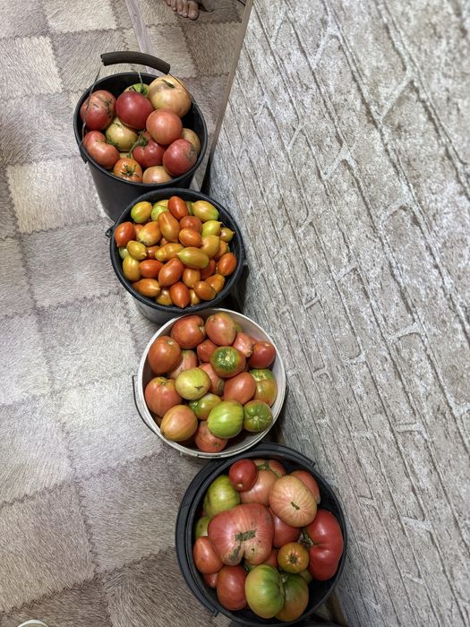 Дачная продукция